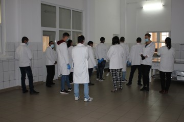 IMG_7792.JPG